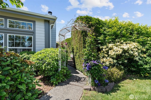 1933 Windflower Ln SE, Lacey, WA 98503 - view of yard