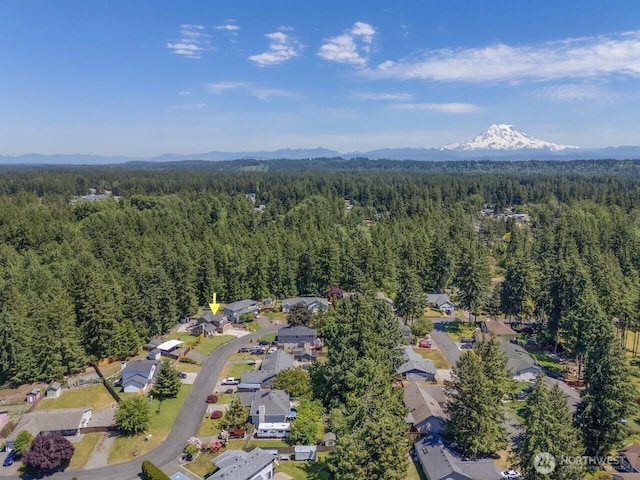4715 247th St E, Graham, WA 98338 - view of property location featuring a heavily wooded area, a mountainous background, and nearby suburban area