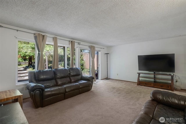 6201 47th Ave S, Seattle, WA 98118 - carpeted living room featuring a textured ceiling