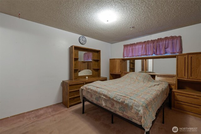 6201 47th Ave S, Seattle, WA 98118 - bedroom featuring light carpet and a textured ceiling