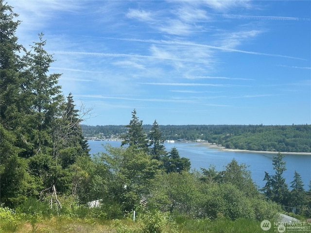 0 Front Ave W, Bremerton, WA 98312 - photo 1