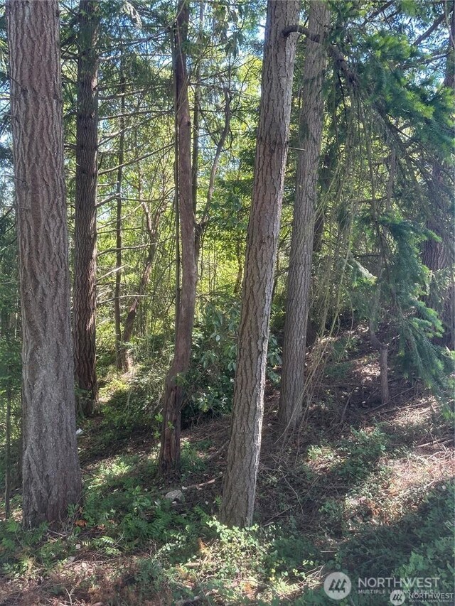 0 Front Ave W, Bremerton, WA 98312 - photo 2