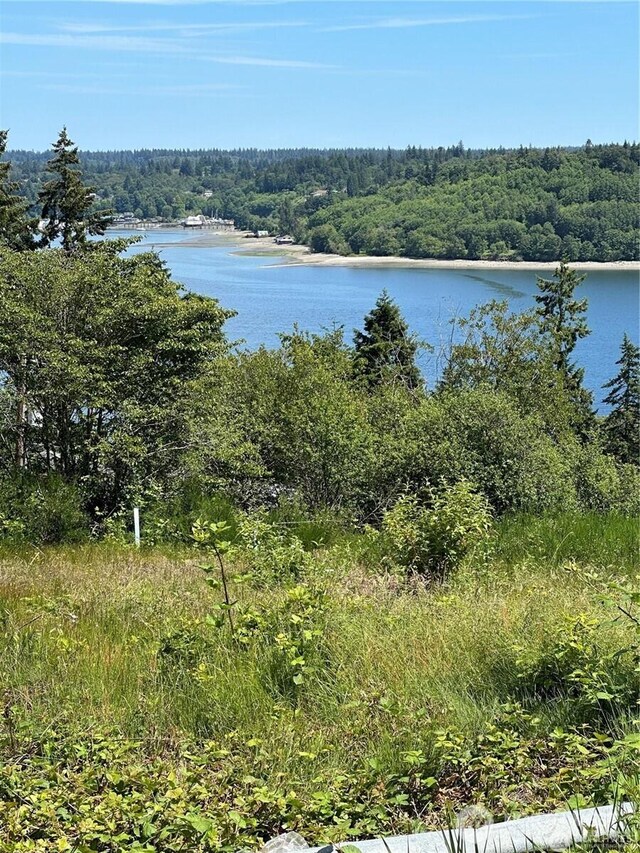 0 Front Ave W, Bremerton, WA 98312 - photo 4