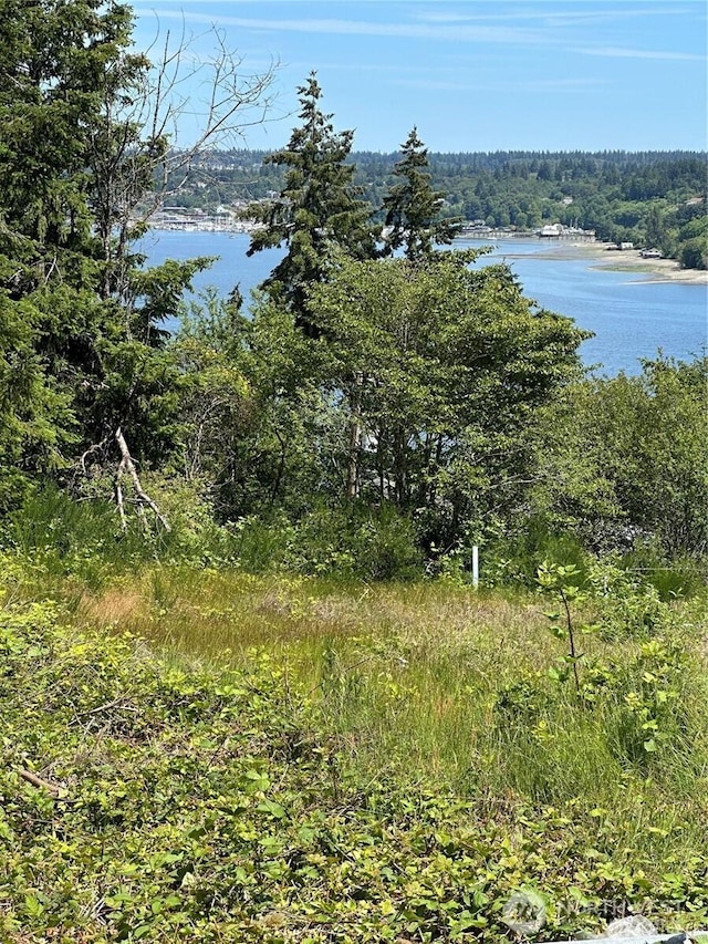 0 Front Ave W, Bremerton, WA 98312 - photo 5