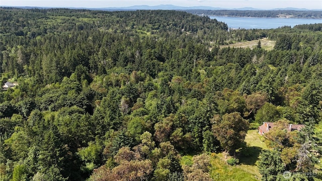 18771 Erickson Rd SW, Longbranch, WA 98351 - photo 4