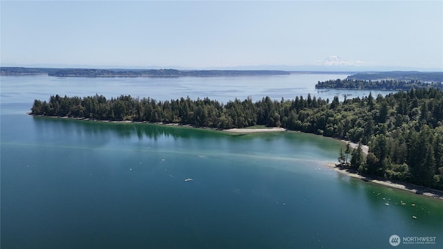 18771 Erickson Rd SW, Longbranch, WA 98351 - photo 6