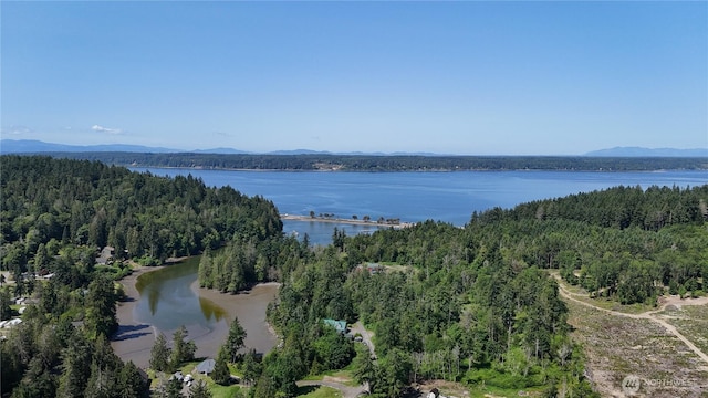 18771 Erickson Rd SW, Longbranch, WA 98351 - photo 9