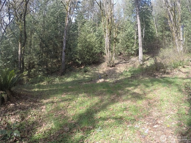 18002 SE May Valley Rd, Renton, WA 98059 - photo 2