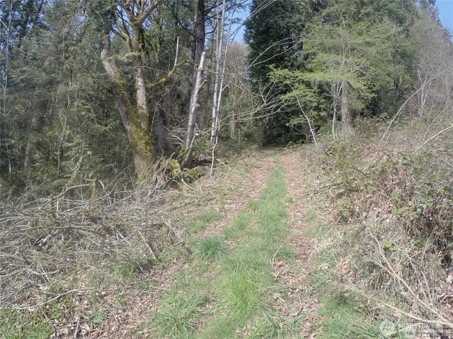 18002 SE May Valley Rd, Renton, WA 98059 - photo 8