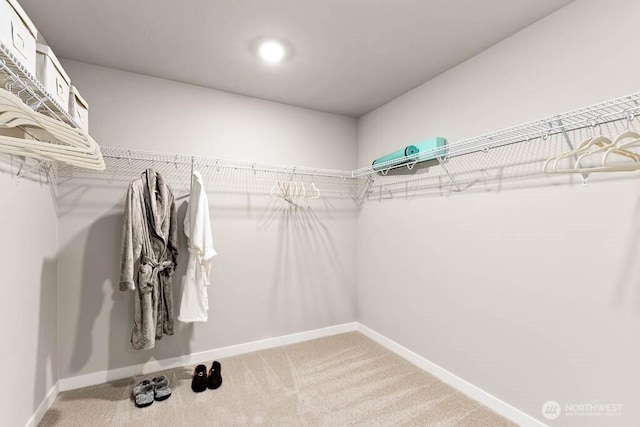 3905 98th Avenue Ct E Unit 33, Edgewood, WA 98371 - spacious closet featuring light carpet