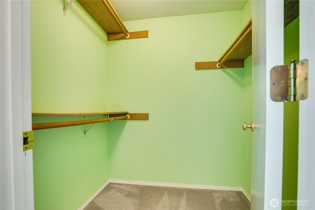 10513 SE 250th Pl Unit F-106, Kent, WA 98031 - walk in closet featuring carpet