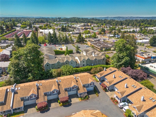10513 SE 250th Pl Unit F-106, Kent, WA 98031 - aerial view of residential area