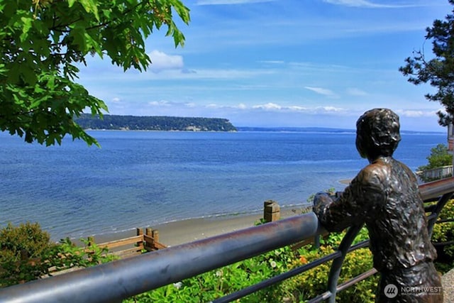311 Edgecliff Dr, Langley, WA 98260 - water view