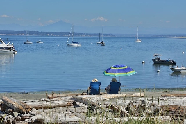311 Edgecliff Dr, Langley, WA 98260 - water view