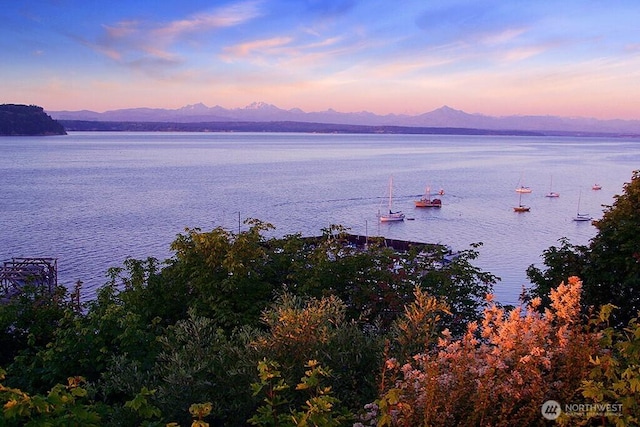 311 Edgecliff Dr, Langley, WA 98260 - water view with a mountain backdrop