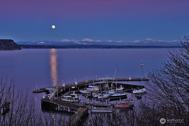 311 Edgecliff Dr, Langley, WA 98260 - dock with a water view