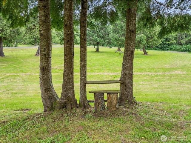 132 River Park Rd, Forks, WA 98331 - view of grassy yard