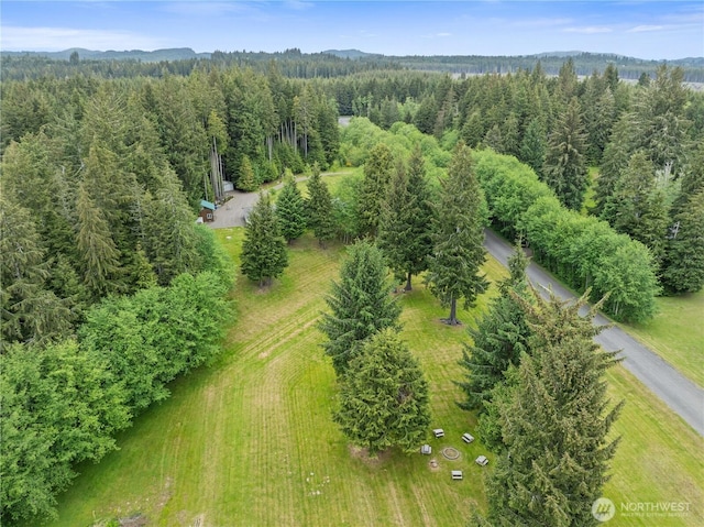 132 River Park Rd, Forks, WA 98331 - drone / aerial view of a forest and a mountainous background