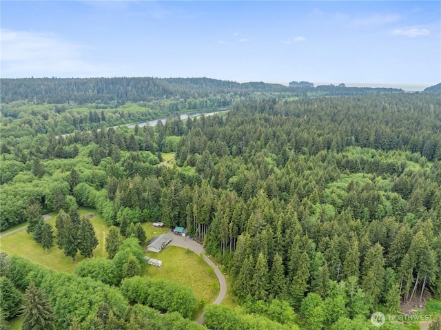 132 River Park Rd, Forks, WA 98331 - bird's eye view of a heavily wooded area