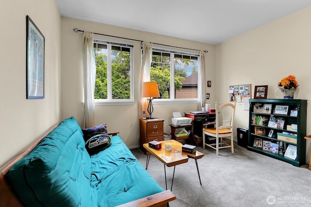 1500 S 18th St Unit F202, Renton, WA 98055 - view of carpeted office