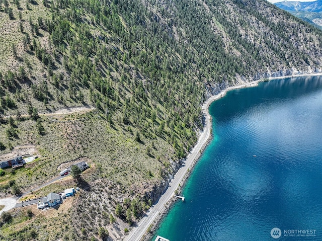 4620 S Lakeshore Rd, Chelan, WA 98816