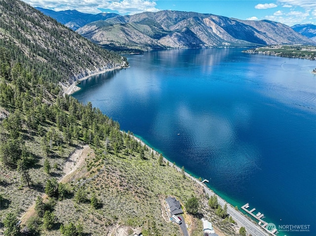 4620 S Lakeshore Rd, Chelan, WA 98816