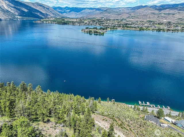 4620 S Lakeshore Rd, Chelan, WA 98816