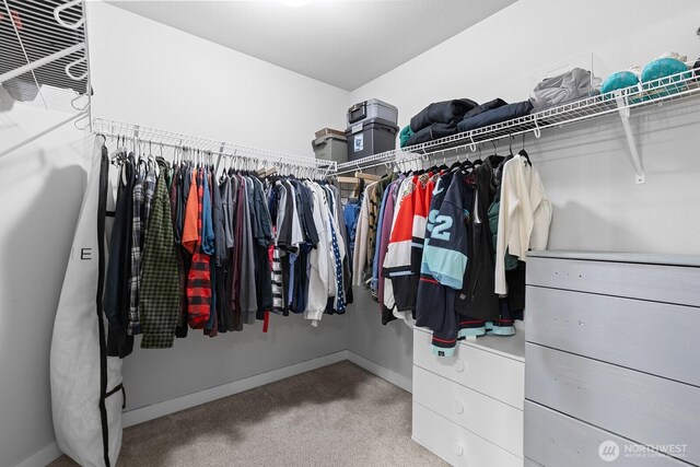 12400 NE 109th St, Vancouver, WA 98682 - photo 33
