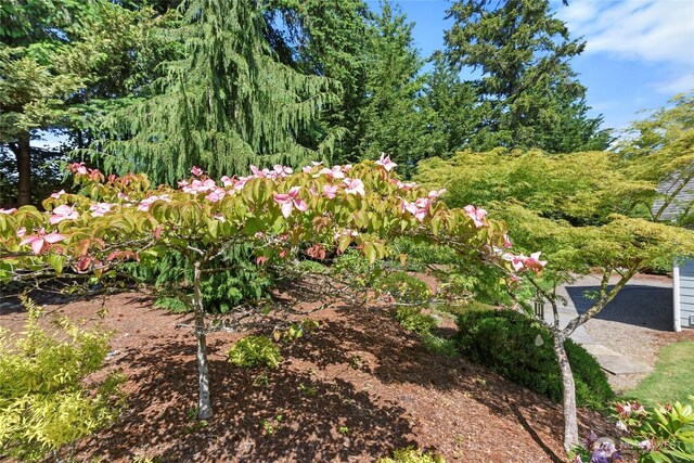 3703NE Trout Brook Ln, Bremerton, WA 98311 - photo 30