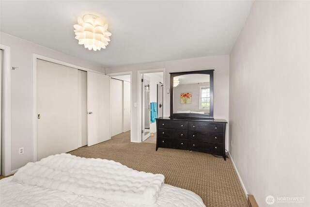 261 SE Adams Ave, Chehalis, WA 98532 - bedroom featuring carpet floors
