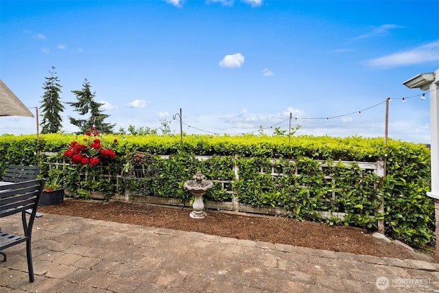 261 SE Adams Ave, Chehalis, WA 98532 - fenced backyard with a patio