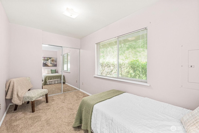 8471 E Caraway Rd, Port Orchard, WA 98366 - bedroom with baseboards, carpet floors, and a closet