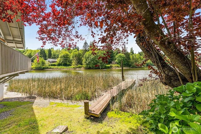 8471 E Caraway Rd, Port Orchard, WA 98366 - view of yard with a water view