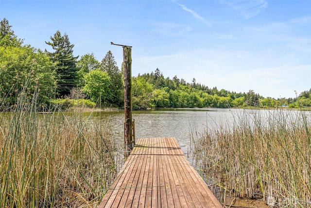 8471 E Caraway Rd, Port Orchard, WA 98366 - dock area with a water view