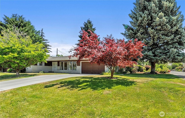 1011 Idaho St, Wenatchee, WA 98801 - view of property hidden behind natural elements with an attached garage, concrete driveway, and a front yard