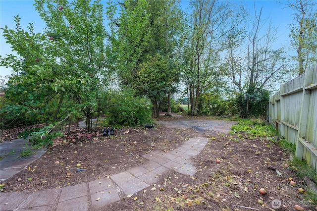 19920 67th Ave NE Unit 40, Arlington, WA 98223 - view of yard