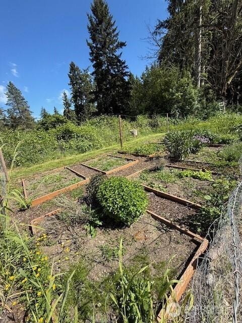 14518 Kapowsin Hwy E, Graham, WA 98338 - view of yard with a garden