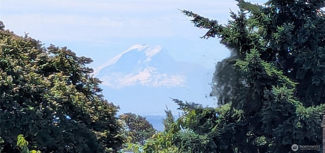2650 W Newton St, Seattle, WA 98199 - view of mountain background