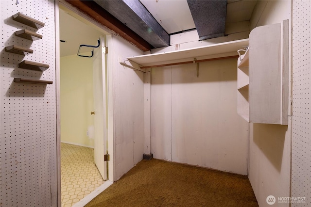2650 W Newton St, Seattle, WA 98199 - unfinished below grade area featuring carpet floors