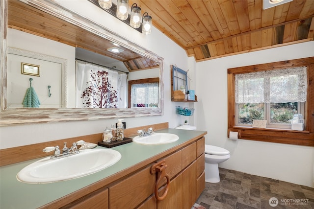 1214A Pine Creek Rd, Tonasket, WA 98855 - full bath featuring stone finish flooring, double vanity, toilet, and wooden ceiling