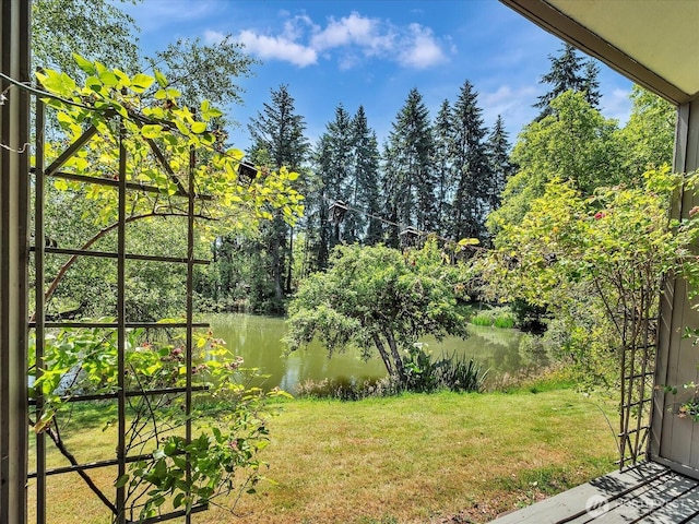 13893 NE 69th St Unit 689, Redmond, WA 98052 - view of grassy yard with a water view