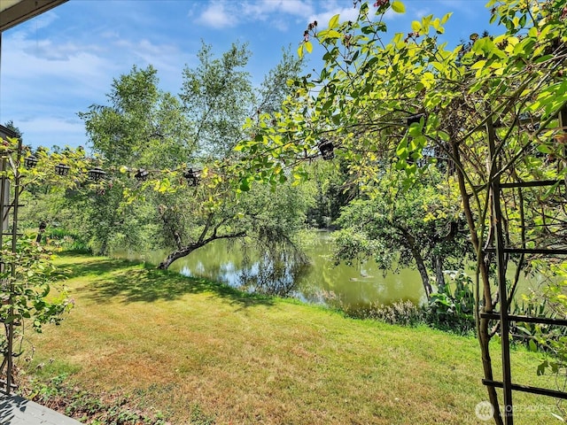 13893 NE 69th St Unit 689, Redmond, WA 98052 - view of green lawn featuring a water view