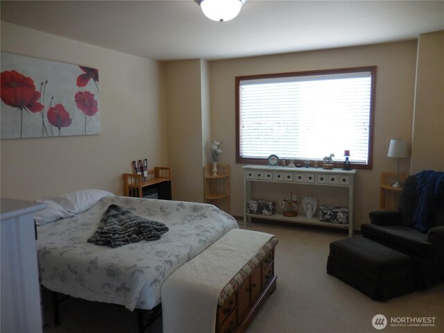 4558 SE Bakken Ct, Port Orchard, WA 98366 - bedroom with carpet floors