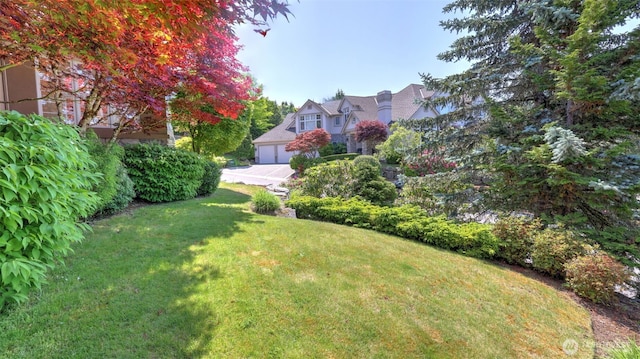 8504 146th Pl SE, Newcastle, WA 98059 - view of green lawn with driveway