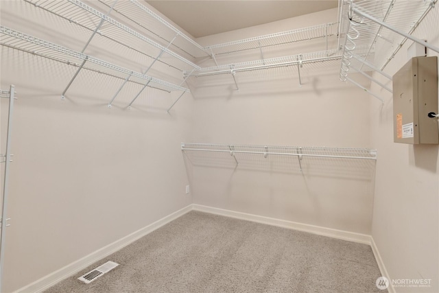 6103 153rd Ave E, Sumner, WA 98390 - walk in closet featuring carpet floors