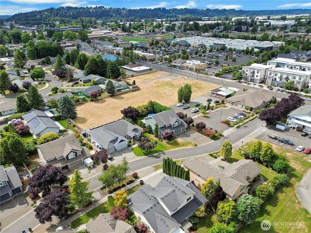 6103 153rd Ave E, Sumner, WA 98390 - aerial view of residential area