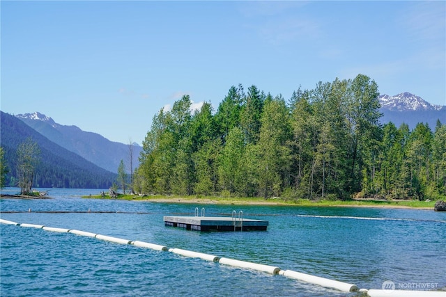 10 & Dr E, Hoodsport, WA 98548 - photo 20