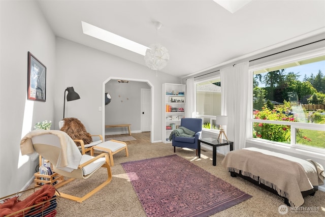 4434 Juli Ct SE, Olympia, WA 98501 - bedroom with a skylight, lofted ceiling, multiple windows, arched walkways, and carpet flooring