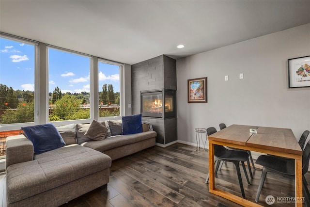 3617 1st Ave NW Unit C, Seattle, WA 98107 - living area with dark wood-type flooring, recessed lighting, and baseboards
