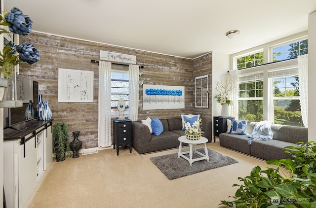 226 Alnus Way, Bremerton, WA 98310 - carpeted living room featuring wood walls and healthy amount of natural light
